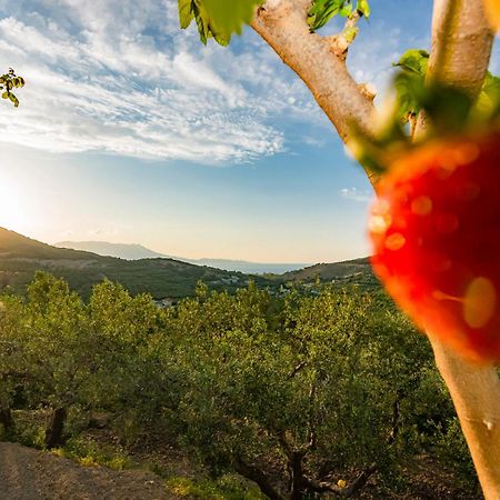 Rikanthos Stone Sea View Apartment Ιι Kíssamos Eksteriør billede